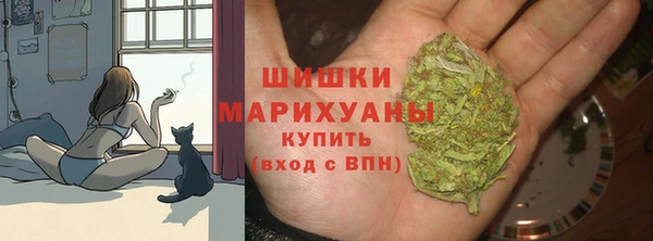 СК Снежногорск