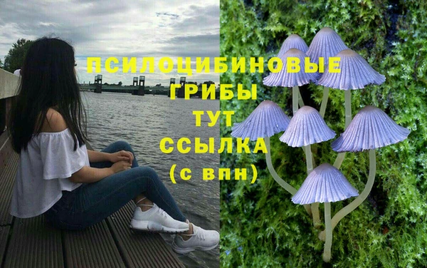 скорость Богородицк