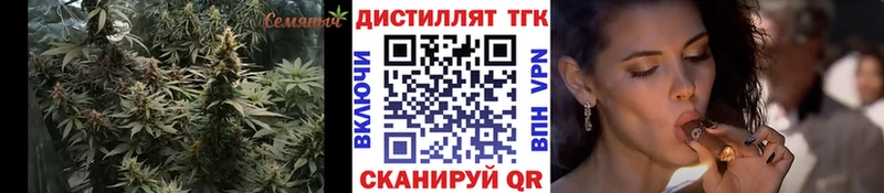 Купить закладки  Высоцк  ТГК гашишное масло 