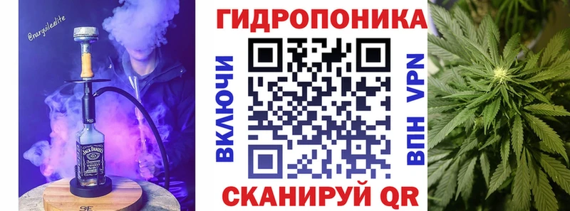 Бошки Шишки OG Kush  Купить закладки  Высоцк 